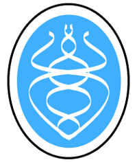 Blue School of Magic Guild Symbol